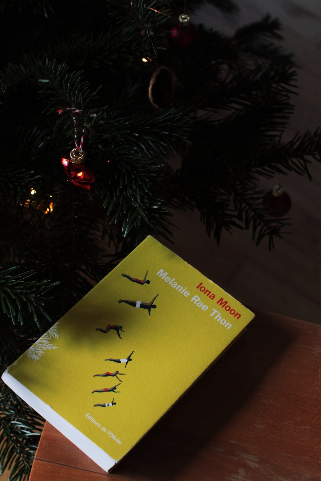 Iona Moon, de Melanie Rae&nbsp;Thon