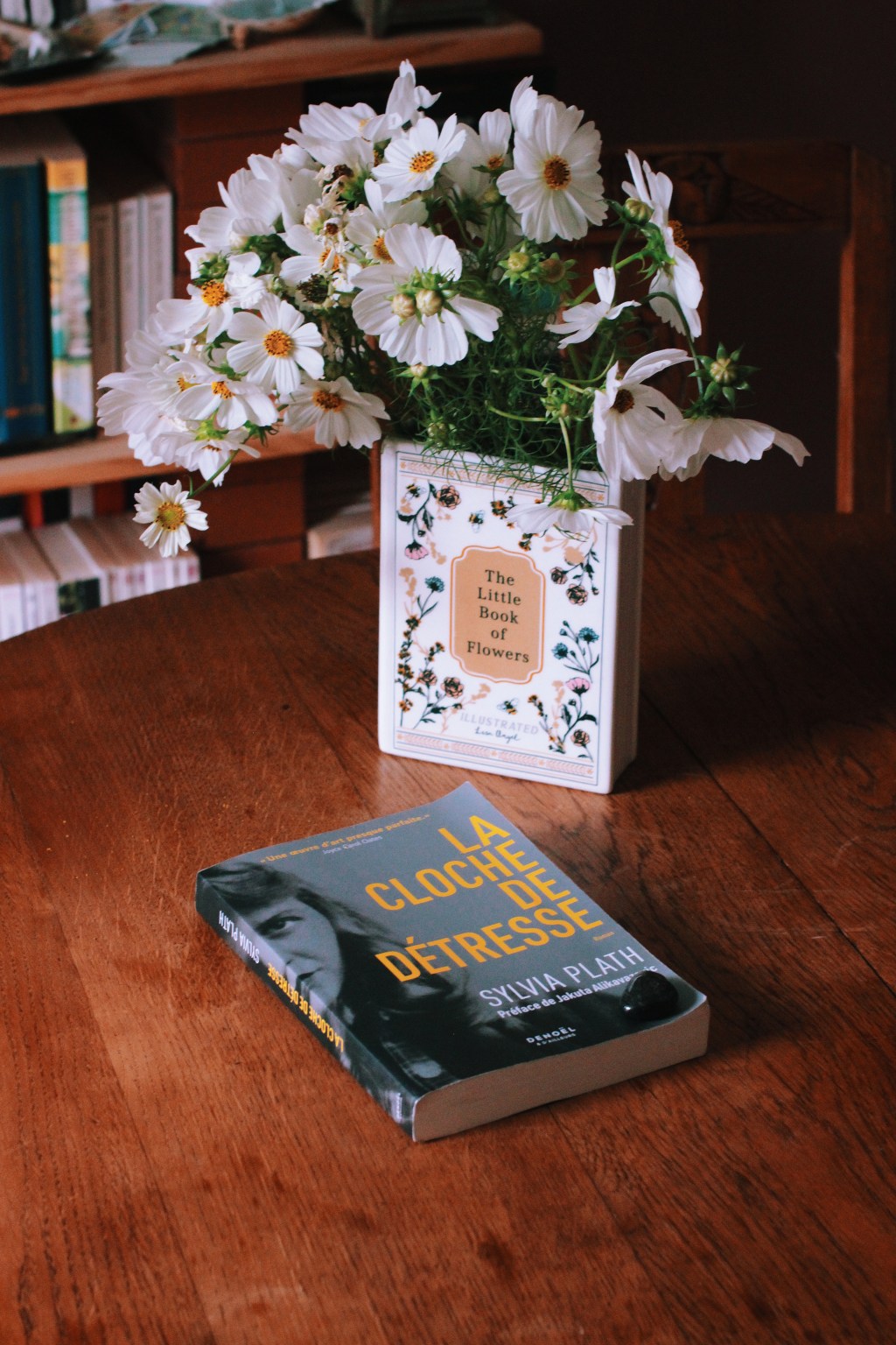 La cloche de détresse, de Sylvia&nbsp;Plath