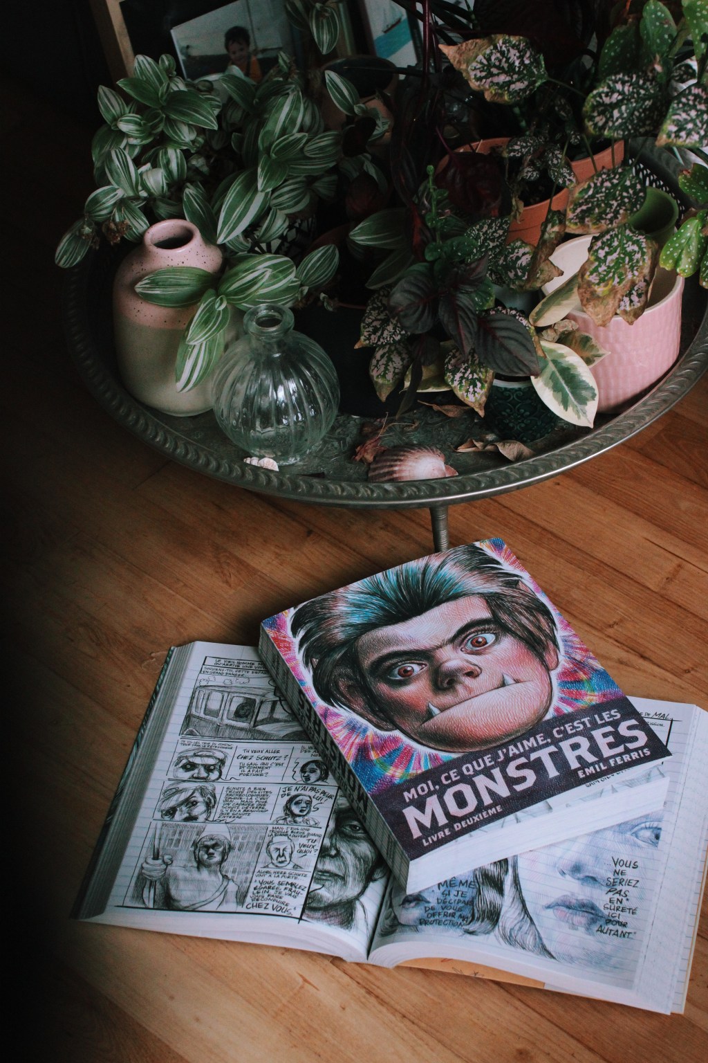 Moi ce que j&rsquo;aime c&rsquo;est les monstres Tome 2, d&rsquo;Emil&nbsp;Ferris