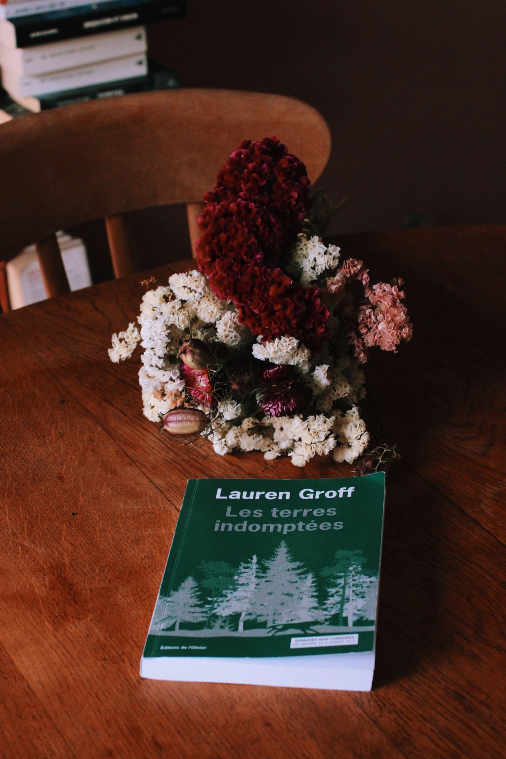 Les terres indomptées, de Lauren&nbsp;Groff