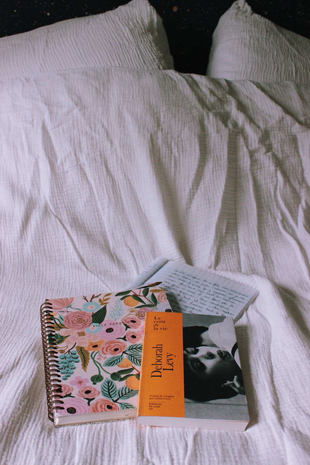 Le coût de la vie, de Deborah&nbsp;Levy