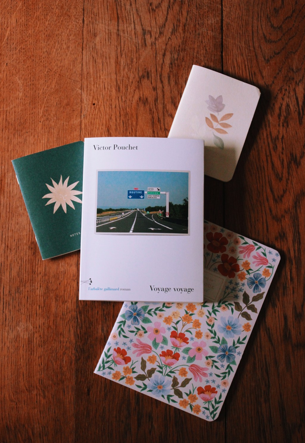 Voyage voyage, de Victor&nbsp;Pouchet