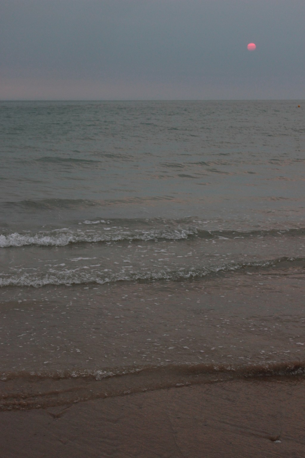 Billet doux du 1/03/2026